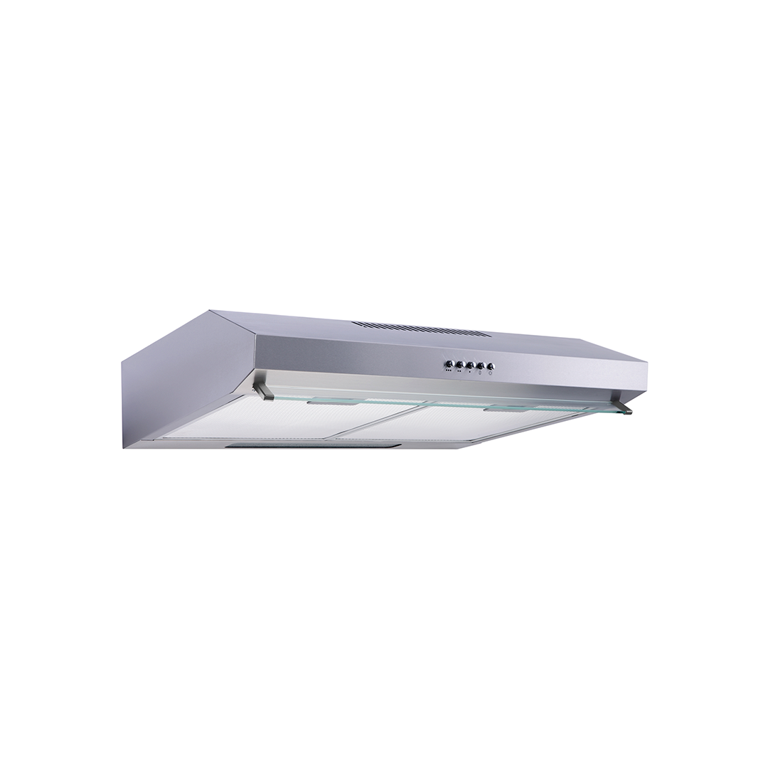 Purificador PRAE DH10A 60 cm C/Filtro Carbón Inox