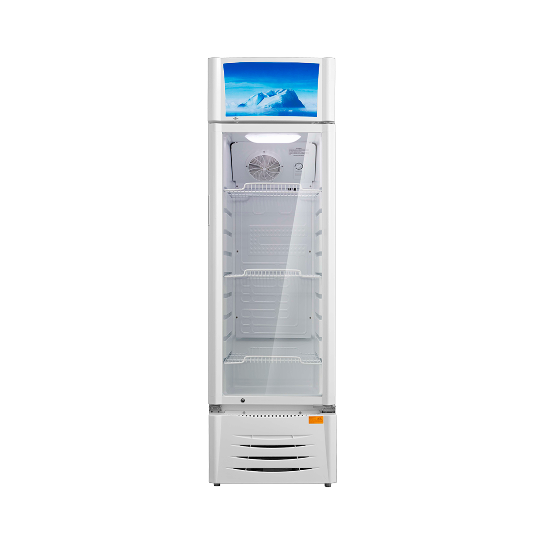 Exhibidor PRAE PR281AE Frío Húmedo 300 Lts.